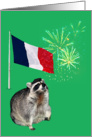 Any Occasion Blank Note Card, raccoon wearing beret with fireworks card