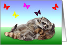 Blank Note Card, all occasion, adorable raccoons wrestling, gradient card