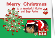 Christmas to Mother and Step Father, Pomeranian as Mrs. Santa Claus card