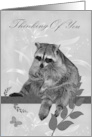 Thinking Of You Card with an adorable Raccoon Sitting on a Tree Limb card