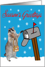 Season’s Greetings to Mail Carrier with a Raccoon Filling a Mailbox card