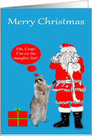 Christmas, general, Raccoon standing next to Santa Claus with list card