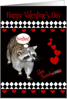 Valentine’s Day to Sweetheart with a Raccoon and Red Hearts on Black card