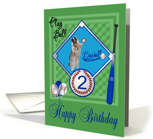 2nd Birthday, raccoon playing baseball in catcher's mask on green card