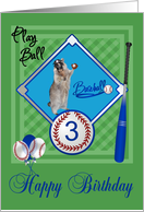 3rd Birthday, raccoon playing baseball in catcher’s mask on green card