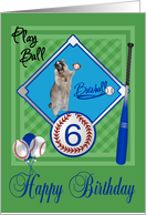 6th Birthday, raccoon playing baseball in catcher’s mask on green card