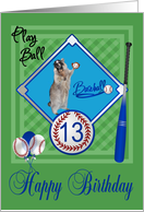 13th Birthday Card with a Raccoon Playing Baseball in Catcher’s Mask card