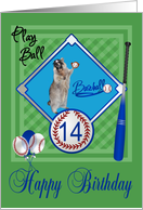 14th Birthday, raccoon playing baseball wearing catcher’s mask, green card