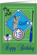 19th Birthday, raccoon playing baseball in catcher’s mask on green card