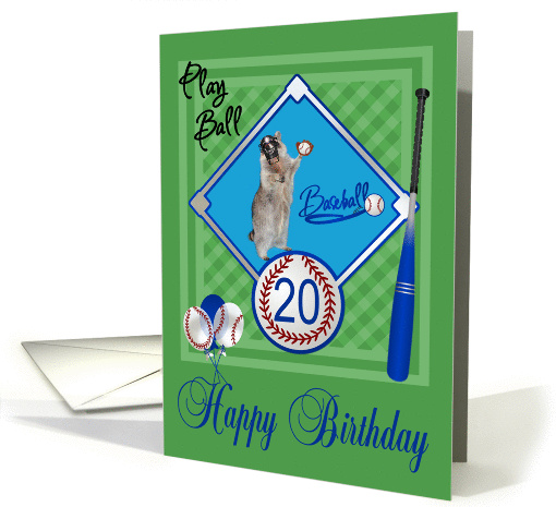 20th Birthday, raccoon playing baseball in catcher's mask... (1039483)