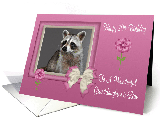 30th Birthday To Granddaughter-in-Law, Raccoon in bow... (1043617)