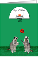 14th Birthday, cute raccoons playing basketball with hoop on green card