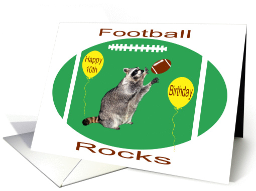 10th Birthday, raccoon playing football on green with... (1046067)