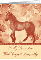 Sympathy To Son, Loss Of Horse, horse against vintage background card