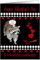 Valentine’s Day To Granddaughter, Raccoon, red hearts, black, diamonds card