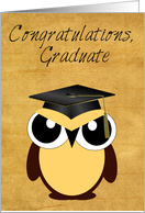Congratulations, Graduation, Owl with cap, tassel, vintage background card