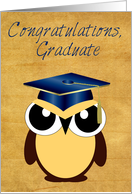 Congratulations, Graduation, Owl with cap, tassel, vintage background card