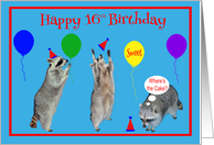 16th Birthday, Raccoons with party hats and colorful balloons on blue card