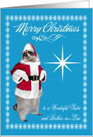 Christmas to Sister and Brother-in-Law, raccoon Santa Claus, blue card