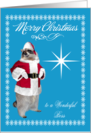 Christmas to Boss with a Raccoon Santa Claus in a Snowflake Frame card