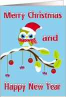 Christmas, general, Owl with Santa Claus hat sitting on a tree limb card