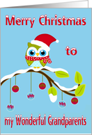 Christmas to Grandparents, Owl with Santa Claus hat on a tree limb card