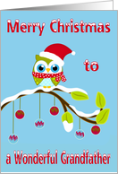 Christmas to Grandfather, Owl with Santa Claus hat on a tree limb card