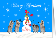 Christmas from Both Of Us, Four raccoons with snowman in snow, blue card