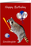 Birthday to Granddaughter with a Raccoon Holding a Baseball Bat card