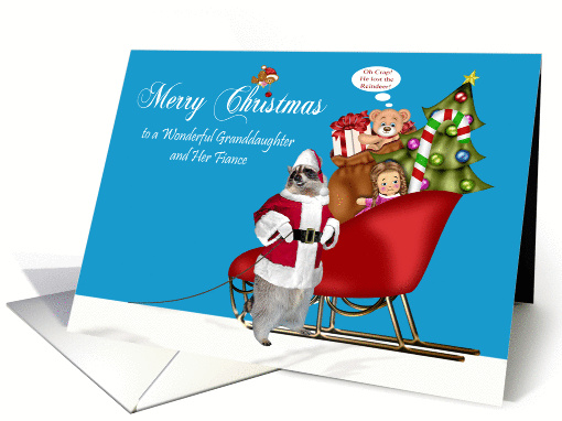 Christmas to Granddaughter and Fiance, Raccoon Santa... (1088214)