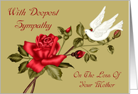Sympathy for Loss Of Mother with a White Dove and a Red Rose card