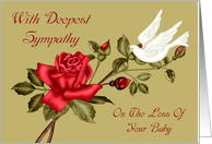 Sympathy for Loss Of Baby Card with a White Dove and a Red Rose card