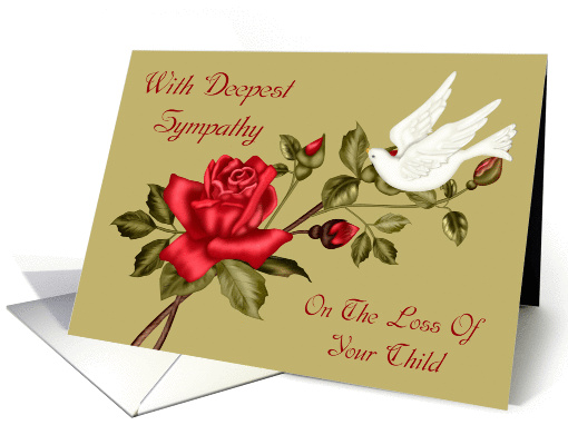 Sympathy For Loss Of Child, white dove with a red rose on... (1089832)