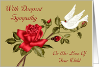 Sympathy For Loss Of Child, white dove with a red rose on light green card