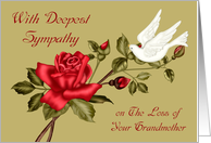 Sympathy for Loss of Grandmother with a White Dove and a Red Rose card