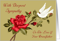 Sympathy For Loss Of Grandfather with a White Dove and a Red Rose card