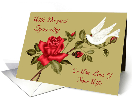 Sympathy for Loss Of Wife with a White Dove Pecking a Rose Leaf card