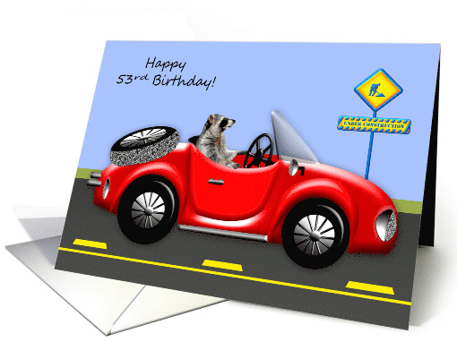 53rd Birthday, age humor, raccoon driving red classic... (1097292)