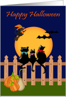 Halloween with Three Black Cats gazing at a Harvest Moon and Bats card