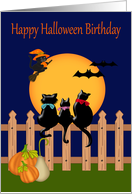 Birthday On Halloween with Three Cats Gazing at a Harvest Moon card