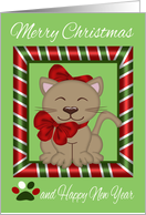 Christmas, general, cat lover, cat wearing red bows, candy cane frame card