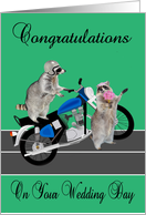 Congratulations, Wedding, general, motorcycle theme, Two cute raccoons card