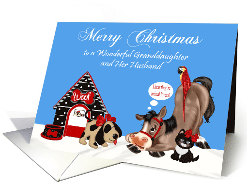 Christmas to Granddaughter and Husband with a Cute Group... (1120502)