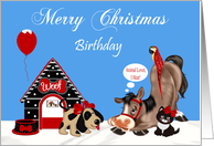 Birthday on Christmas, general, dog, dog house, horse, parrot, cat card