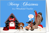 Christmas to Teacher, dog with a dog house, horse, parrot and a cat card
