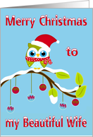 Christmas to Wife with an Owl Wearing a Santa Hat Sitting on a Limb card