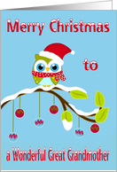 Christmas to Great Grandmother, Owl wearing a Santa Claus hat on limb card