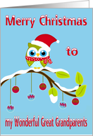 Christmas to Great Grandparents, Owl wearing a Santa Claus hat on limb card