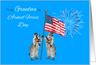 Armed Forces Day To Grandma, armed raccoons with a flag and fireworks card
