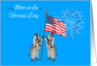 Veterans Day To Mother-in-Law, armed raccoons with flag and fireworks card